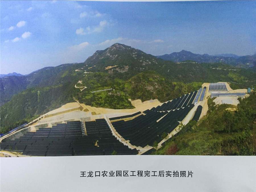 王龙口农业园区乐动官方端网站登录入口_ledong乐动(中国)
